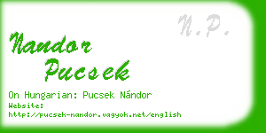 nandor pucsek business card